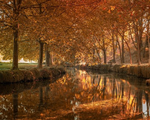 Fachada de un edificio clásico en la colonia Roma Norte